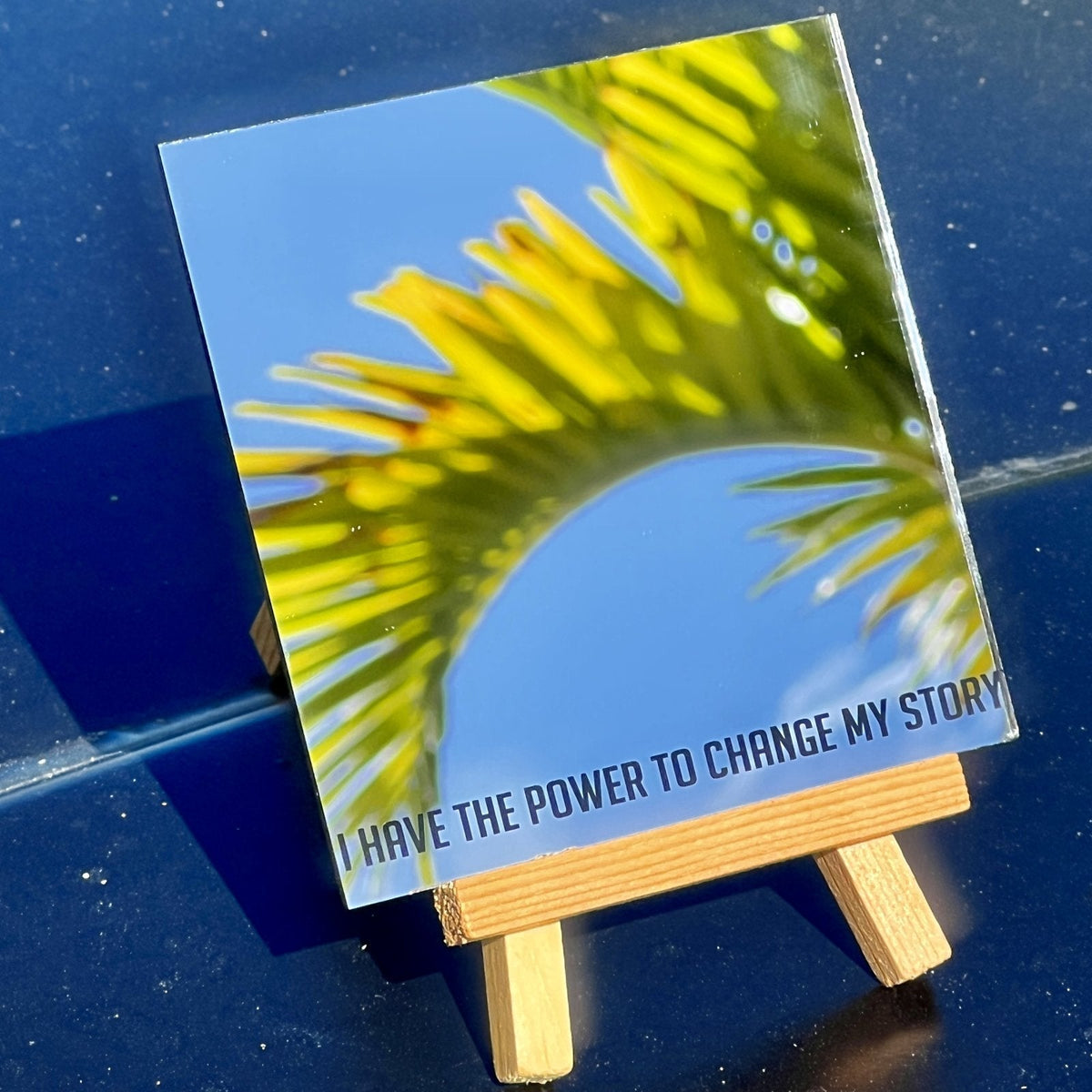 Key West Souvenirs Worth Keeping (Skip the T-Shirt Shop)