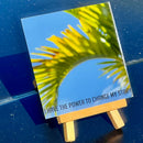 Engraved mirror on its wood easel reflecting palm fronds and blue sky