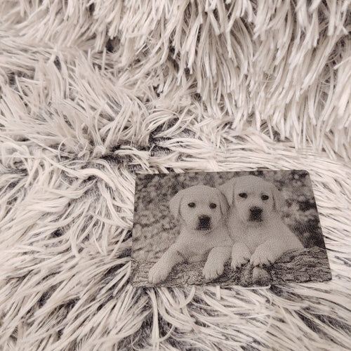 Pet Photo Card two dogs with white rug in background - GalacticLasers